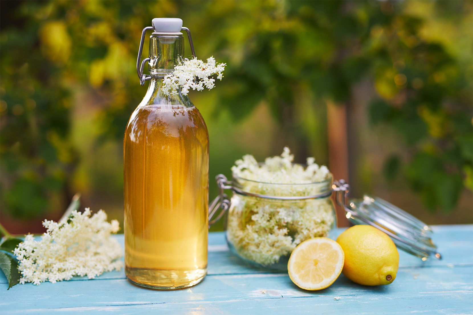 bezový-sirup-citrón-čerstvě-natrhaný-bez
